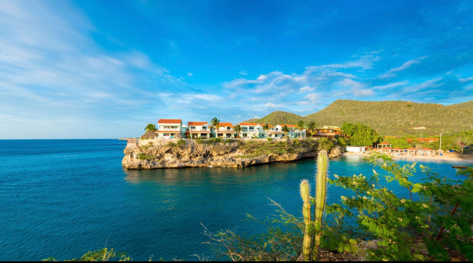 White cliff-top homes with terracotta roofs above a turquoise Curaçao cove, framed by tall cacti in the foreground — the island landscape and communities whose long-term future DCH Advisory works with